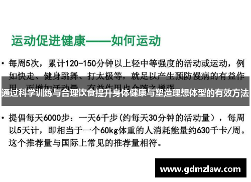 通过科学训练与合理饮食提升身体健康与塑造理想体型的有效方法